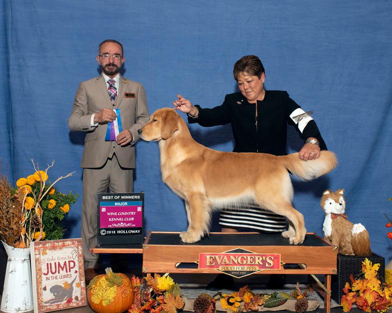 Wine country sales dog show 2019