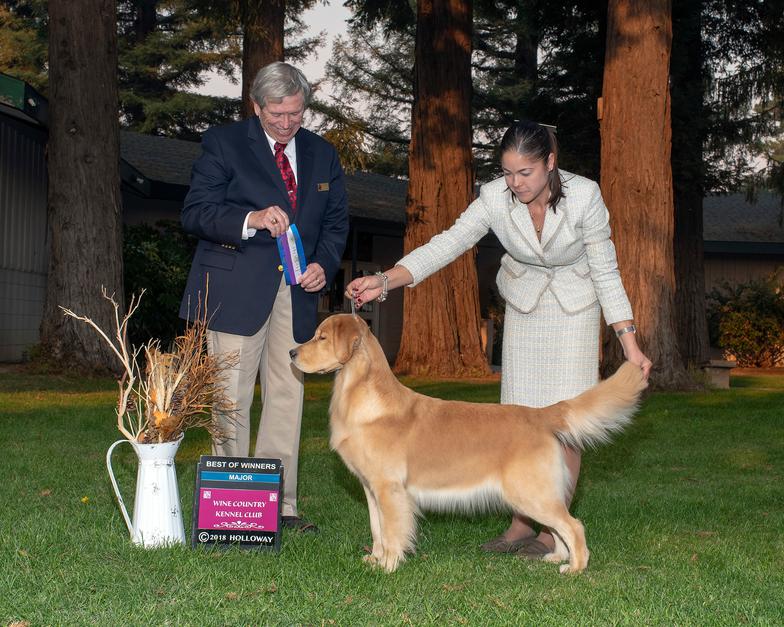Wine country sales dog show 2019